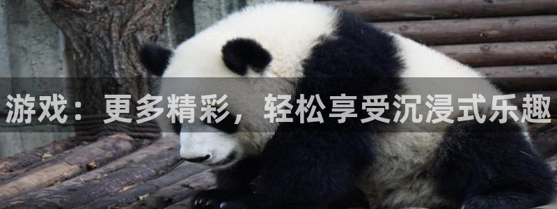 长征娱乐平台官网登录：游戏：更多精彩，轻松享受沉浸式乐趣