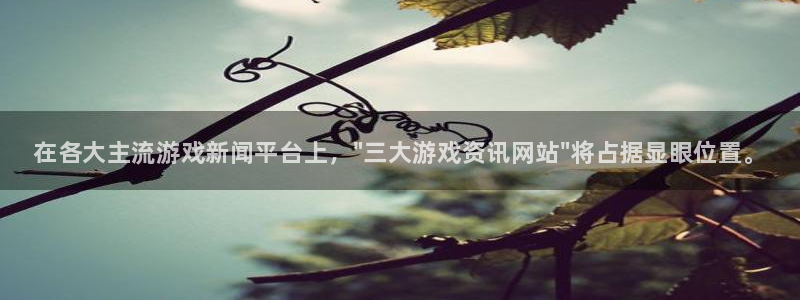 长征娱乐注册：在各大主流游戏新闻平台上，\