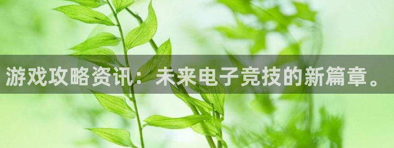 长征娱乐登陆：游戏攻略资讯：未来电子竞技的新篇章。