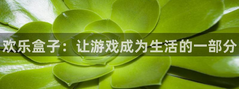 长征娱乐平台注册：欢乐盒子：让游戏成为生活的一部分