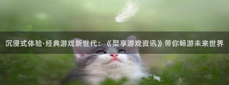 长征娱乐测速：沉浸式体验·经典游戏新世代：《棸享游戏资讯》带