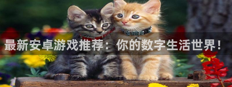 长征娱乐网址官网：最新安卓游戏推荐：你的数字生活世界！