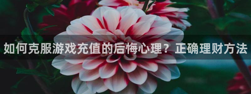 长征娱乐注册账号：如何克服游戏充值的后悔心理？正确理财方法