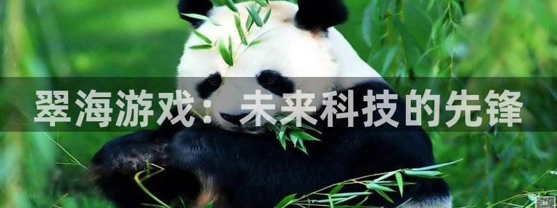 长征娱乐怎么注册：翠海游戏：未来科技的先锋
