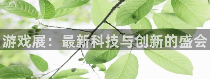 长征娱乐平台注册开户：游戏展：最新科技与创新的盛会