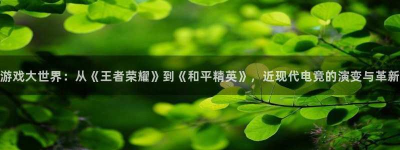 长征娱乐登陆：游戏大世界：从《王者荣耀》到《和平精英》，近现