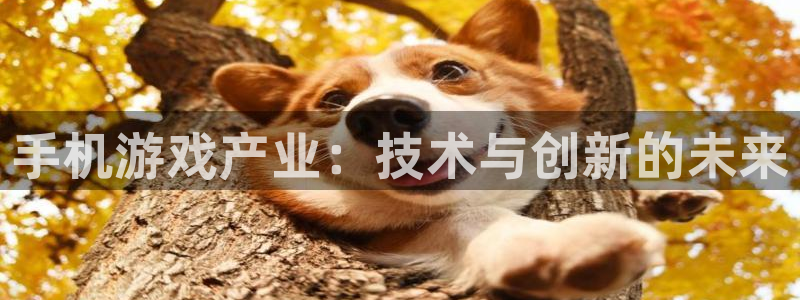 长征娱乐登录：手机游戏产业：技术与创新的未来