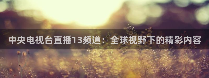 88看球英超直播：中央电视台直播13频道：全球视野下的精彩内容