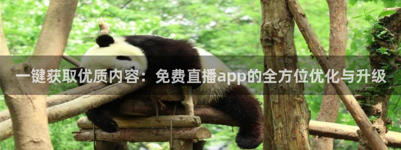 88看球nba直播视频在线直播官网：一键获取优质内容：免费直播app的全方位优化与升级