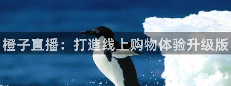 88看球电视直播：橙子直播：打造线上购物体验升级版