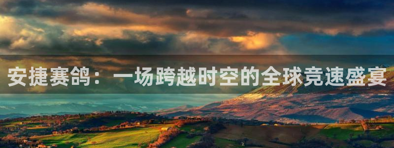 足球直播_篮球直播_免费在线看 | 88看球：安捷赛鸽：一场跨越时空的全球竞速盛宴