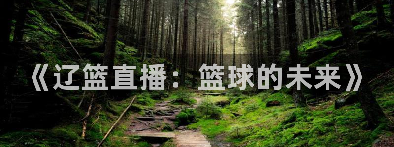 88看球免费直播高清观看：《辽篮直播：篮球的未来》