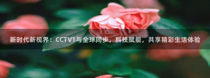 88看球nba免费直播官网：新时代新视界：CCTV1与全球同步，科技赋能，共享精彩生活体验