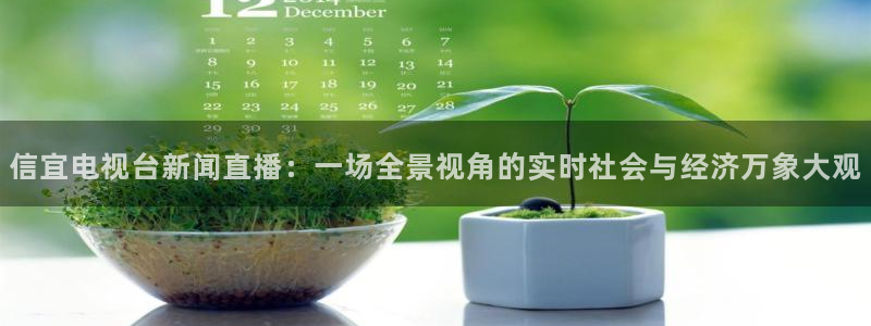 88看球直播入口：信宜电视台新闻直播：一场全景视角的实时社会与经济万象大观